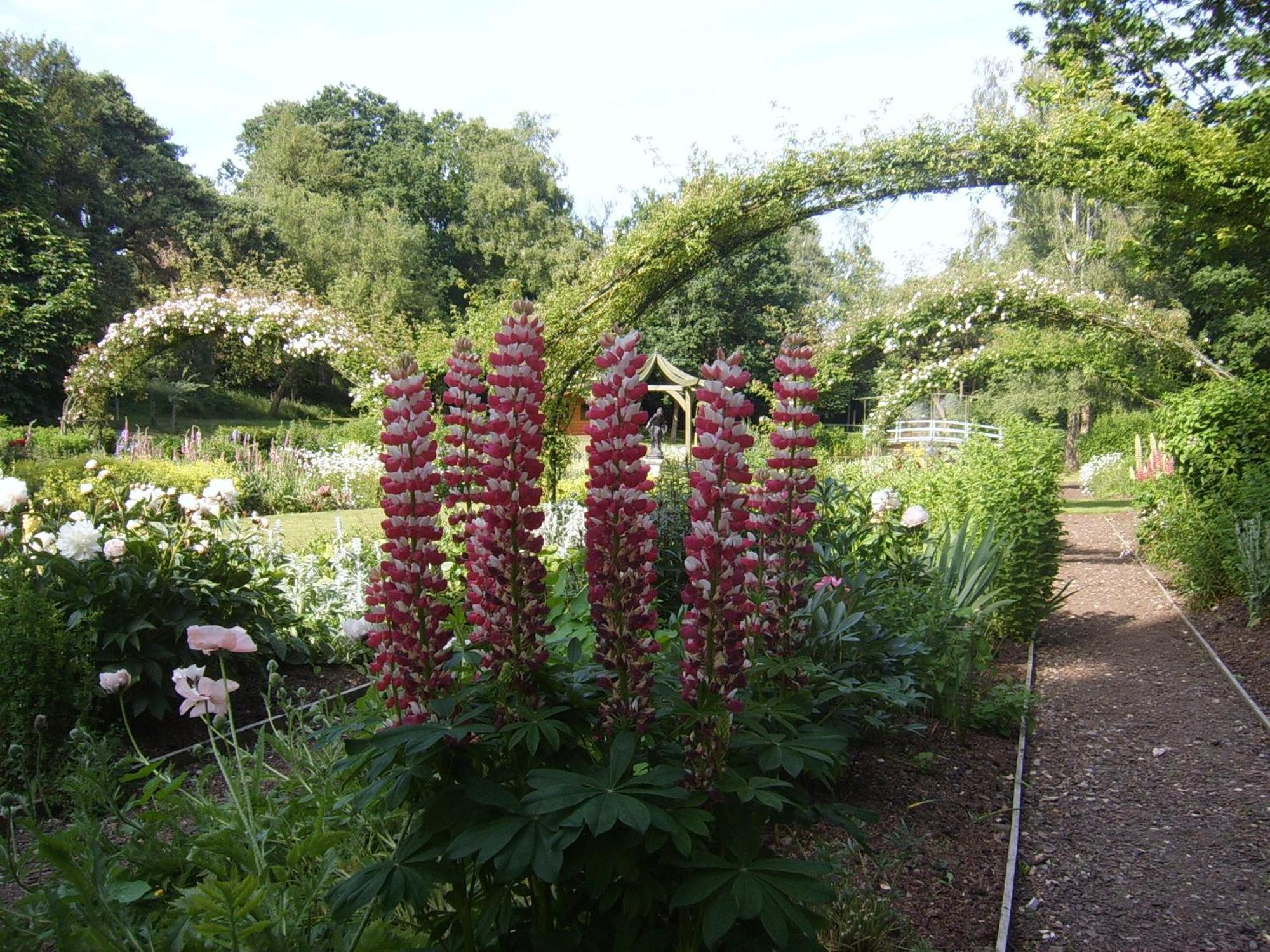 Passford House Hotel Lymington Zewnętrze zdjęcie